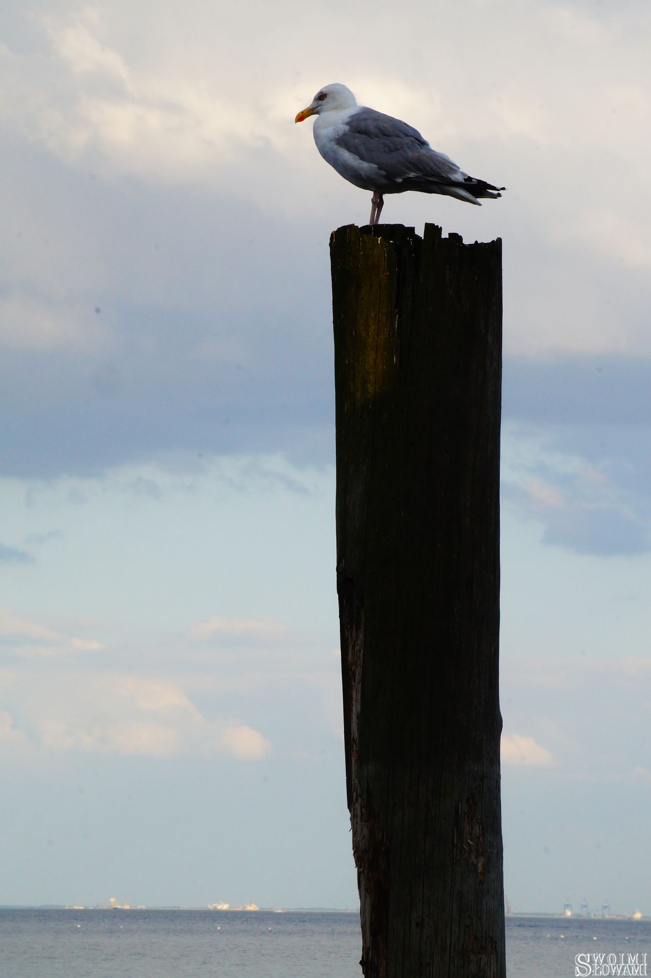 Sopot 27.jpg